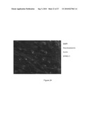 Large area, homogeneous array fabrication including substrate temperature control diagram and image