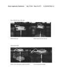 Large area, homogeneous array fabrication including substrate temperature control diagram and image