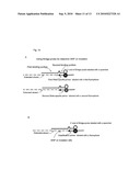 NUCLEIC ACID DETECTION diagram and image