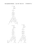 METHODS AND COMPOSITIONS FOR CONTINUOUS SINGLE-MOLECULE NUCLEIC ACID SEQUENCING BY SYNTHESIS WITH FLUOROGENIC NUCLEOTIDES diagram and image