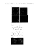 METHODS AND COMPOSITIONS FOR CONTINUOUS SINGLE-MOLECULE NUCLEIC ACID SEQUENCING BY SYNTHESIS WITH FLUOROGENIC NUCLEOTIDES diagram and image