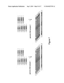 TOOLS AND METHODS FOR GENETIC TESTS USING NEXT GENERATION SEQUENCING diagram and image