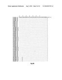 DIFFERENTIAL IMMUNOASSAY FOR PRRS VACCINE ANTIBODY diagram and image