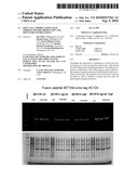 HOST CELL MODIFICATIONS THAT IMPROVE PEPTIDE PRODUCTION AND DOWNSTREAM PROCESSING diagram and image