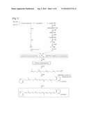 METHOD OF PRODUCING LYCOPENE USING RECOMBINANT ESHERICHIA COLI diagram and image