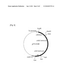 METHOD OF PRODUCING LYCOPENE USING RECOMBINANT ESHERICHIA COLI diagram and image