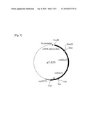 METHOD OF PRODUCING LYCOPENE USING RECOMBINANT ESHERICHIA COLI diagram and image