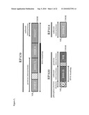 Use of RPA32, RPA4, and RPA4/RPA32 Hybrid Polypeptides and Polynucleotides for Assessing and Modulating Cell Proliferation diagram and image