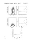 Use of RPA32, RPA4, and RPA4/RPA32 Hybrid Polypeptides and Polynucleotides for Assessing and Modulating Cell Proliferation diagram and image