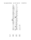 Use of RPA32, RPA4, and RPA4/RPA32 Hybrid Polypeptides and Polynucleotides for Assessing and Modulating Cell Proliferation diagram and image