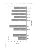 Use of RPA32, RPA4, and RPA4/RPA32 Hybrid Polypeptides and Polynucleotides for Assessing and Modulating Cell Proliferation diagram and image