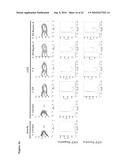 Use of RPA32, RPA4, and RPA4/RPA32 Hybrid Polypeptides and Polynucleotides for Assessing and Modulating Cell Proliferation diagram and image