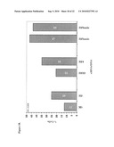 Use of RPA32, RPA4, and RPA4/RPA32 Hybrid Polypeptides and Polynucleotides for Assessing and Modulating Cell Proliferation diagram and image