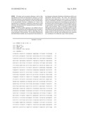 Use of RPA32, RPA4, and RPA4/RPA32 Hybrid Polypeptides and Polynucleotides for Assessing and Modulating Cell Proliferation diagram and image