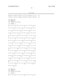 Use of RPA32, RPA4, and RPA4/RPA32 Hybrid Polypeptides and Polynucleotides for Assessing and Modulating Cell Proliferation diagram and image