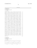 Use of RPA32, RPA4, and RPA4/RPA32 Hybrid Polypeptides and Polynucleotides for Assessing and Modulating Cell Proliferation diagram and image