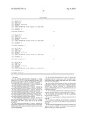 Use of RPA32, RPA4, and RPA4/RPA32 Hybrid Polypeptides and Polynucleotides for Assessing and Modulating Cell Proliferation diagram and image