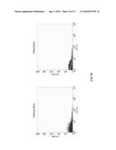 CANINE TUMOR CELL AND ALLOGENEIC DENDRITIC CELL FUSED VACCINE AND METHOD FOR PREPARING THE SAME diagram and image