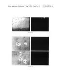 Cell Surface Coating with Hyaluronic Acid Oligomer Derivative diagram and image