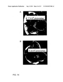 Method and apparatus for avalanche-mediated transfer of agents into cells diagram and image