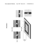 Nano-Scale Bridge Biosensors diagram and image