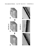 Nano-Scale Bridge Biosensors diagram and image