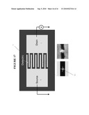 Nano-Scale Bridge Biosensors diagram and image