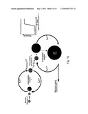 STOCHASTIC CONFINEMENT TO DETECT, MANIPULATE, AND UTILIZE MOLECULES AND ORGANISMS diagram and image