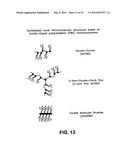 Synthesis and use of well-defined, highly-branched saturated hydrocarbon polymers diagram and image