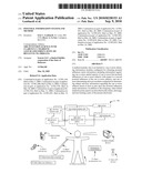 Postural information system and method diagram and image