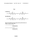 OPTIMIZED T-DNA TRANSFER AND VECTORS THEREFOR diagram and image