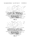 COATING FOR AND METHOD OF TESTING LANDSCAPING MATERIAL diagram and image