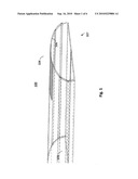 System For Cleaning And Massaging A Foot diagram and image