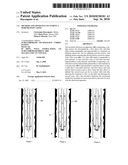 METHOD AND APPARATUS TO CEMENT A PERFORATED CASING diagram and image