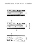 METHOD AND APPARATUS TO CEMENT A PERFORATED CASING diagram and image