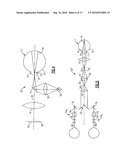 EYE VIEWING DEVICE COMPRISING VIDEO CAPTURE OPTICS diagram and image