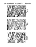 Method of Processing Seismic Images of the Subsurface diagram and image