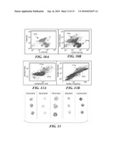 BLOOD AND CELL ANALYSIS USING AN IMAGING FLOW CYTOMETER diagram and image