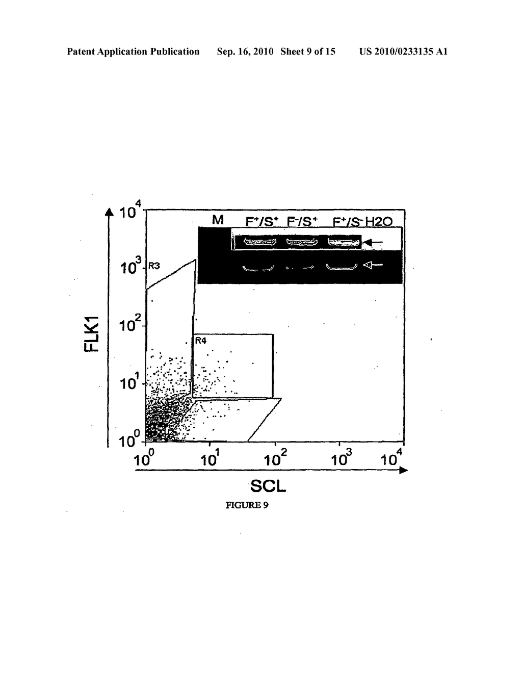 COMPOSITIONS AND METHODS FOR HEMATOPOIETIC STEM CELL EXPANSION OR FOR MODULATING ANGIOGENESIS - diagram, schematic, and image 10