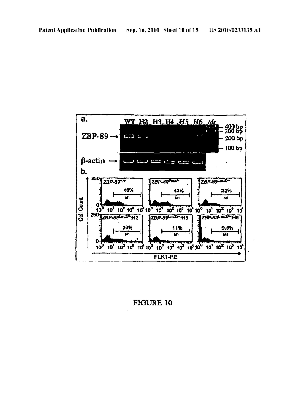 COMPOSITIONS AND METHODS FOR HEMATOPOIETIC STEM CELL EXPANSION OR FOR MODULATING ANGIOGENESIS - diagram, schematic, and image 11