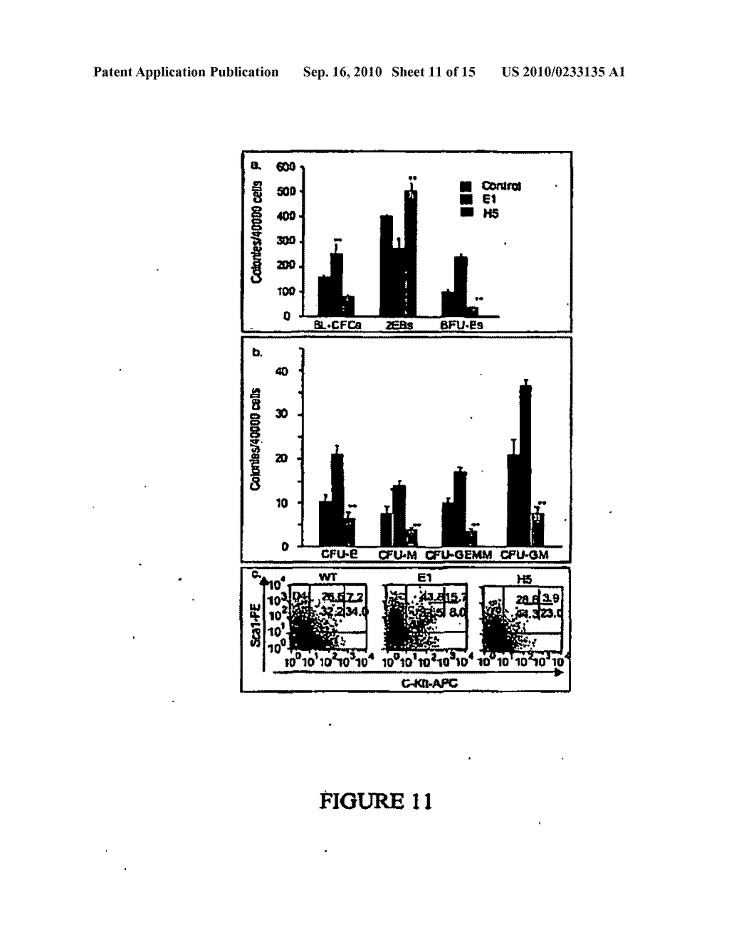 COMPOSITIONS AND METHODS FOR HEMATOPOIETIC STEM CELL EXPANSION OR FOR MODULATING ANGIOGENESIS - diagram, schematic, and image 12