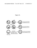 Stem Cells Derived from Uniparental Embryos and Methods of Use Thereof diagram and image