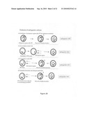 Stem Cells Derived from Uniparental Embryos and Methods of Use Thereof diagram and image