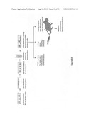 Stem Cells Derived from Uniparental Embryos and Methods of Use Thereof diagram and image