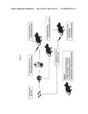 Stem Cells Derived from Uniparental Embryos and Methods of Use Thereof diagram and image