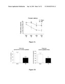 Treating Central Nervous System Injury with Beta and Gamma Secretase Inhibitors diagram and image