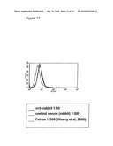 Monoclonal Anti-Annexin A3 Antibodies for the Detection of Prostate Carcinoma diagram and image