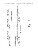 Anthrax carbohydrates, synthesis and uses thereof diagram and image