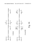 Anthrax carbohydrates, synthesis and uses thereof diagram and image