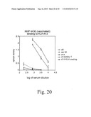 Anthrax carbohydrates, synthesis and uses thereof diagram and image